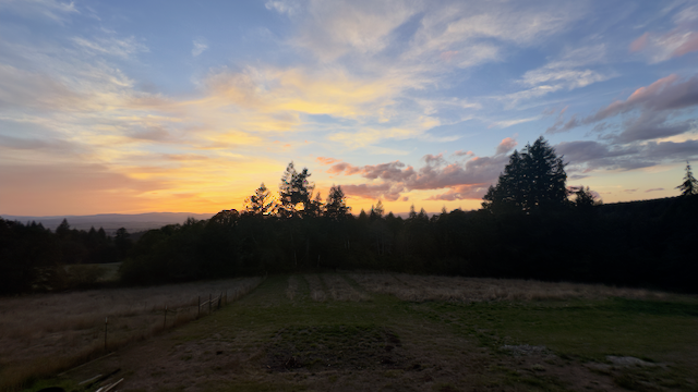 Vibrant colors in evening sky